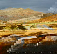 Optimiste Wines - Accommodation Port Macquarie