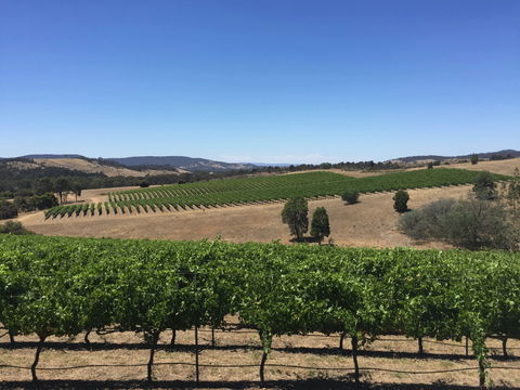 Peerick Vineyard And Winery - Accommodation Port Macquarie 0