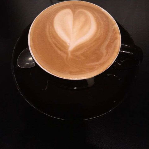 Sage - Accommodation Port Macquarie 0