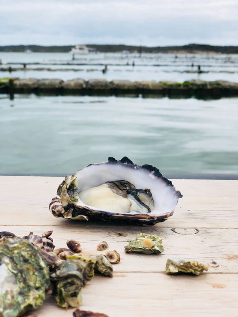 Oyster HQ - Accommodation Port Macquarie 1
