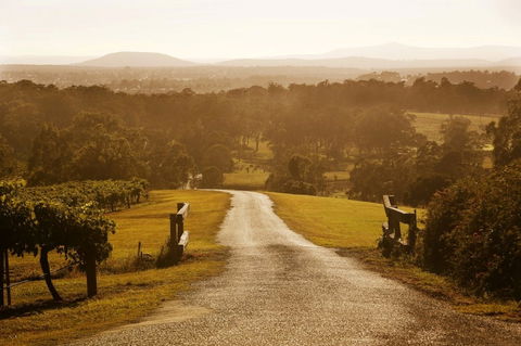 Petersons Wines - Accommodation Port Macquarie 0
