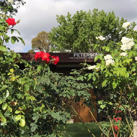 Petersons Wines - Accommodation Port Macquarie 1