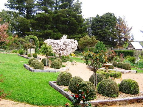 The Scented Rose Garden And Teahouse - Accommodation Port Macquarie 2