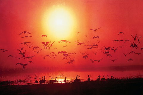 Darwin Tandoor - Accommodation Port Macquarie 0