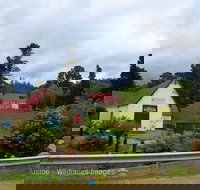 Frank's Cider House  and Cafe - Accommodation Port Macquarie