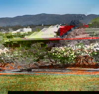 Hanging Tree Wines - Accommodation Port Macquarie