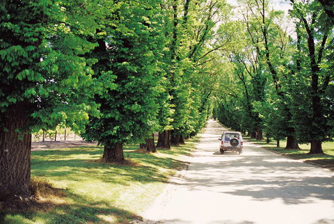 All Saints Estate - Accommodation Port Macquarie 1