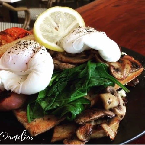 Amelia's Bakery - Accommodation Port Macquarie 0
