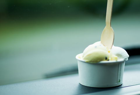 Daintree Ice Cream Company - Accommodation Port Macquarie 0