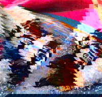 Delhi Grill - Accommodation Port Macquarie