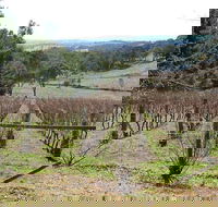 Habitat Vineyard