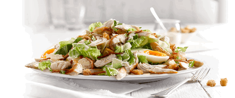 Sumo Salad - Claremont - Accommodation Port Macquarie 0