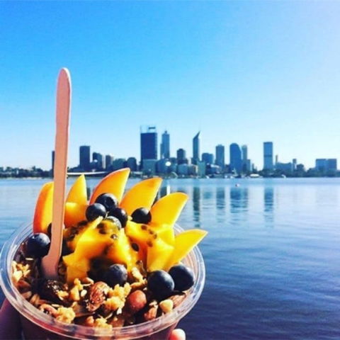 The Acai Corner - Accommodation Port Macquarie 0