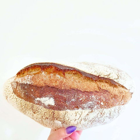 Dolcettini - Castle Hill - Accommodation Port Macquarie 0