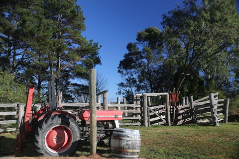 Joadja Estate - Accommodation Port Macquarie 1