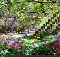 Naked Apple Cider - Accommodation Port Macquarie