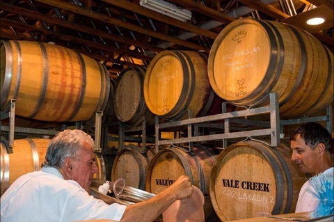 Vale Creek Wines - Accommodation Port Macquarie 1