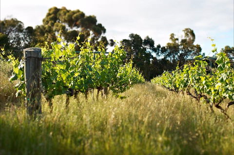 Happs Winery And Pottery - Accommodation Port Macquarie 0