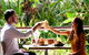 Jaques Coffee Plantation - thumb 0