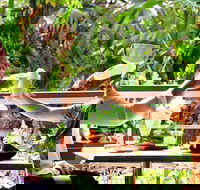 Jaques Coffee Plantation - Accommodation Port Macquarie