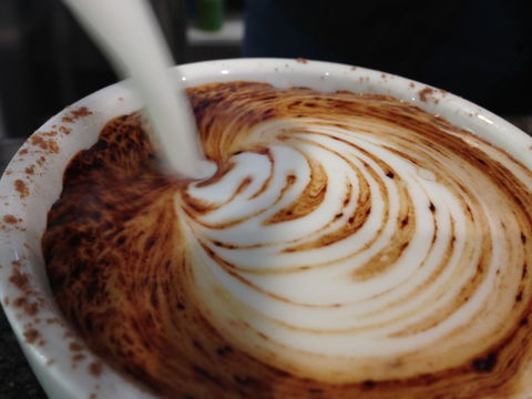Jaques Coffee Plantation - Accommodation Port Macquarie 1