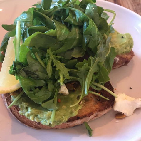 Saffs - Accommodation Port Macquarie 0