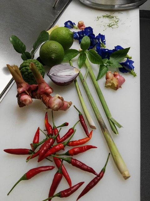 Thai Sensation - Accommodation Port Macquarie 0