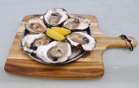 The Little Mussel Cafe - Accommodation Port Macquarie 1