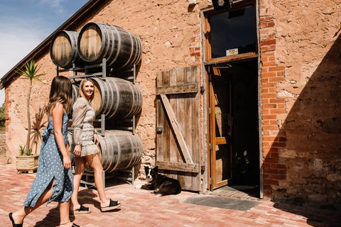 Shingleback Wine - Accommodation Port Macquarie 1