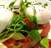 Montania Cafe Bar Restaurant - Accommodation Port Macquarie