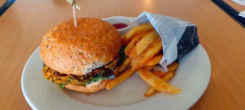 Kashi Indian Restaurant - Accommodation Port Macquarie 1