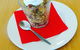 Kashi Indian Restaurant - thumb 20