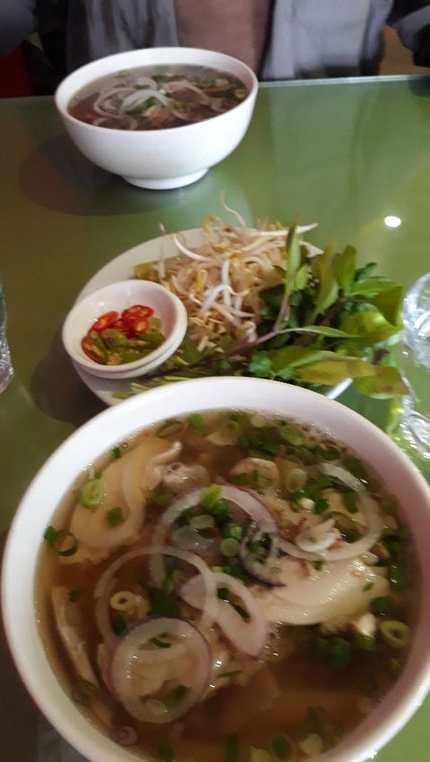 Adelaide Pho - Accommodation Port Macquarie 8