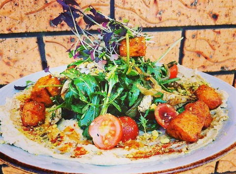 Blue Jay Cafe - Accommodation Port Macquarie 9