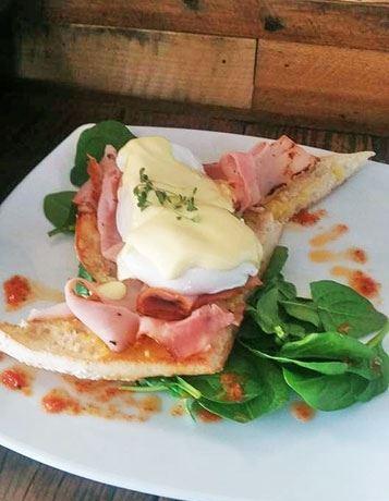 Blue Jay Cafe - Accommodation Port Macquarie 15