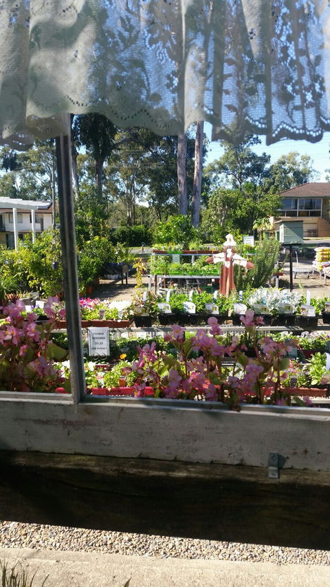 Florrey Bel Coffee Shed - Accommodation Port Macquarie 5