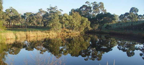 Spot Pea - Accommodation Port Macquarie 1