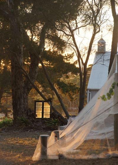 Spot Pea - Accommodation Port Macquarie 7