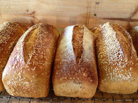 Blackbird Artisan Bakery - Accommodation Port Macquarie 30