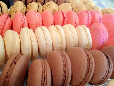 Blackbird Artisan Bakery - Accommodation Port Macquarie 31