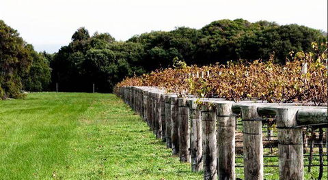 Blackbird Artisan Bakery - Accommodation Port Macquarie 5