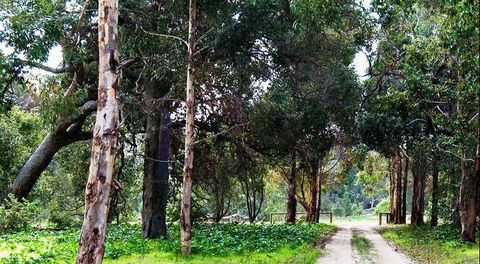 Blackbird Artisan Bakery - Accommodation Port Macquarie 7