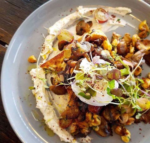 Le P'tit Cafe - Accommodation Port Macquarie 32
