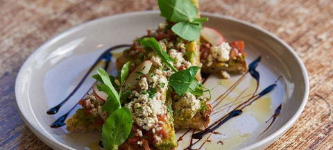 Glen Iris Pantry - Accommodation Port Macquarie 0