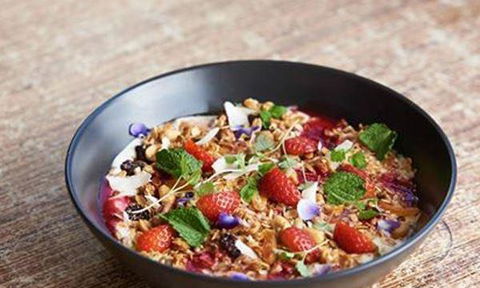 Glen Iris Pantry - Accommodation Port Macquarie 5