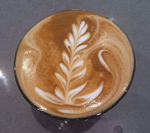 Daily Bean Cafe - Accommodation Port Macquarie 21