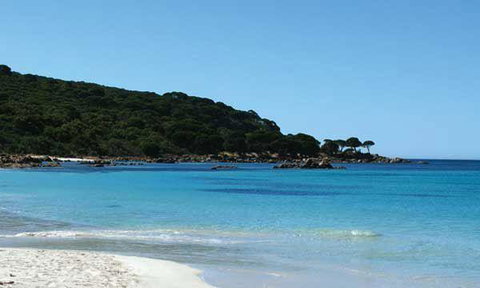 Bunkers Beach House - Accommodation Port Macquarie 10