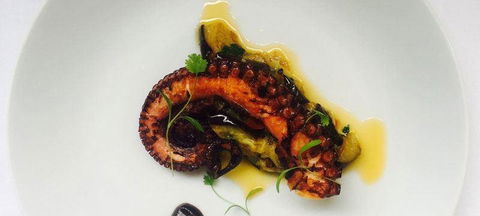 Rocksalt Restaurant And Lounge Bar - Accommodation Port Macquarie 1