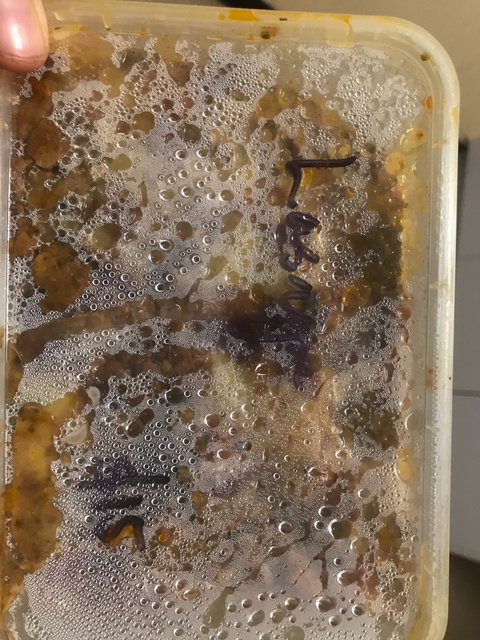 Rocky's Pizza - Accommodation Port Macquarie 5