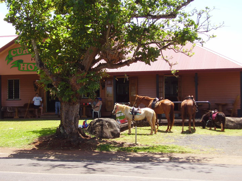 Currajah Hotel - Accommodation Port Macquarie 1